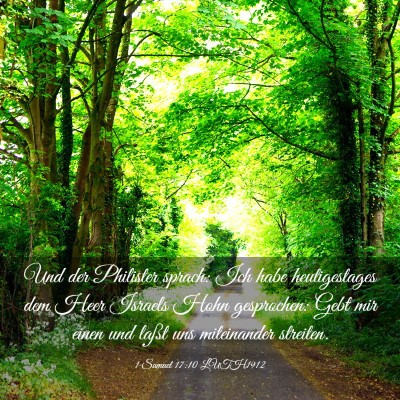 Picture 03 - 1 Samuel 17:10 LUTH1912 - Und der Philister sprach: Ich habe heutigestages - Bible Verse Picture