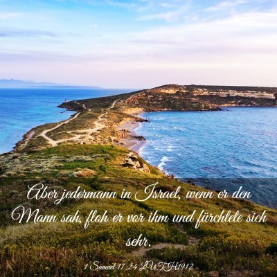 Picture 03 - 1 Samuel 17:24 LUTH1912 - Aber jedermann in Israel, wenn er den Mann sah, - Bible Verse Picture