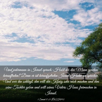Picture 03 - 1 Samuel 17:25 LUTH1912 - Und jedermann in Israel sprach: Habt ihr den Mann - Bible Verse Picture