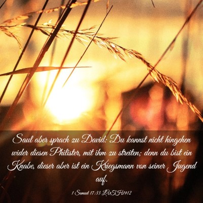 Picture 03 - 1 Samuel 17:33 LUTH1912 - Saul aber sprach zu David: Du kannst nicht - Bible Verse Picture