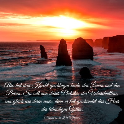 Picture 03 - 1 Samuel 17:36 LUTH1912 - Also hat dein Knecht geschlagen beide, den Löwen - Bible Verse Picture