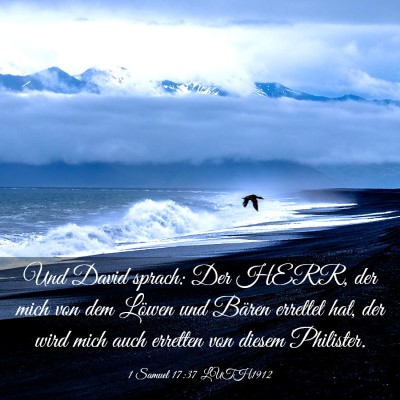 Picture 03 - 1 Samuel 17:37 LUTH1912 - Und David sprach: Der HERR, der mich von dem - Bible Verse Picture