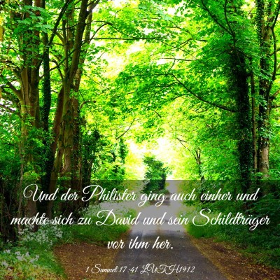 Picture 03 - 1 Samuel 17:41 LUTH1912 - Und der Philister ging auch einher und machte - Bible Verse Picture