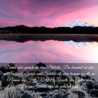 Picture 03 - 1 Samuel 17:45 LUTH1912 - David aber sprach zu dem Philister: Du kommst zu - Bible Verse Picture