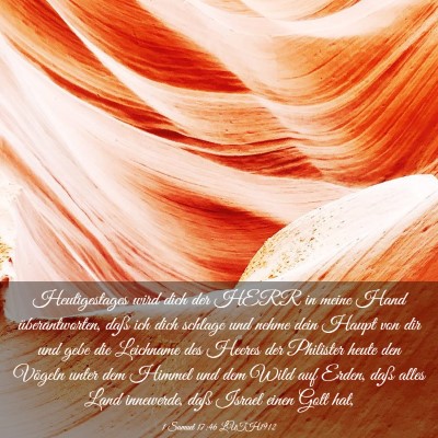 Picture 03 - 1 Samuel 17:46 LUTH1912 - Heutigestages wird dich der HERR in meine Hand - Bible Verse Picture