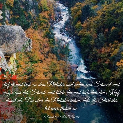 Picture 03 - 1 Samuel 17:51 LUTH1912 - lief er und trat zu dem Philister und nahm sein - Bible Verse Picture