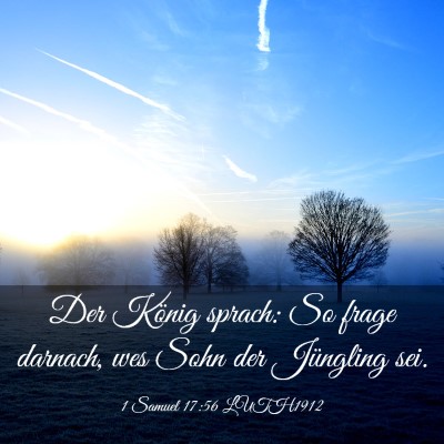 Picture 03 - 1 Samuel 17:56 LUTH1912 - Der König sprach: So frage darnach, wes Sohn der - Bible Verse Picture