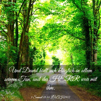 Picture 03 - 1 Samuel 18:14 LUTH1912 - Und David hielt sich klüglich in allem seinem - Bible Verse Picture