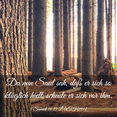 Picture 03 - 1 Samuel 18:15 LUTH1912 - Da nun Saul sah, daß er sich so klüglich hielt, - Bible Verse Picture