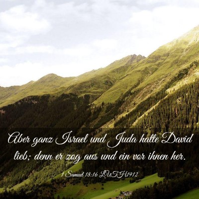 Picture 03 - 1 Samuel 18:16 LUTH1912 - Aber ganz Israel und Juda hatte David lieb; denn - Bible Verse Picture