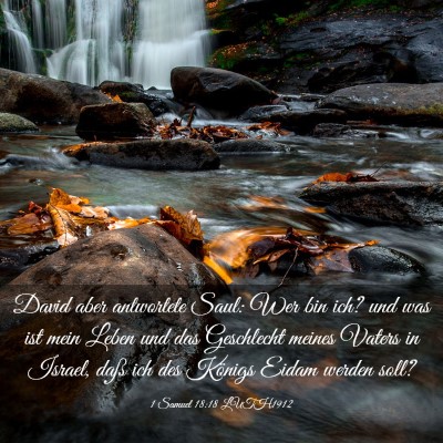Picture 03 - 1 Samuel 18:18 LUTH1912 - David aber antwortete Saul: Wer bin ich? und was - Bible Verse Picture