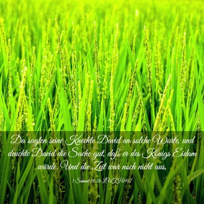 Picture 03 - 1 Samuel 18:26 LUTH1912 - Da sagten seine Knechte David an solche Worte, - Bible Verse Picture