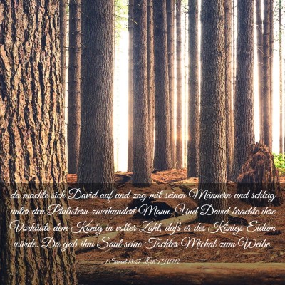 Picture 03 - 1 Samuel 18:27 LUTH1912 - da machte sich David auf und zog mit seinen - Bible Verse Picture