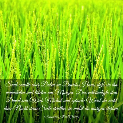 Picture 03 - 1 Samuel 19:11 LUTH1912 - Saul sandte aber Boten zu Davids Haus, daß sie - Bible Verse Picture