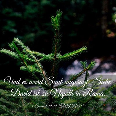 Picture 03 - 1 Samuel 19:19 LUTH1912 - Und es ward Saul angesagt: Siehe, David ist zu - Bible Verse Picture