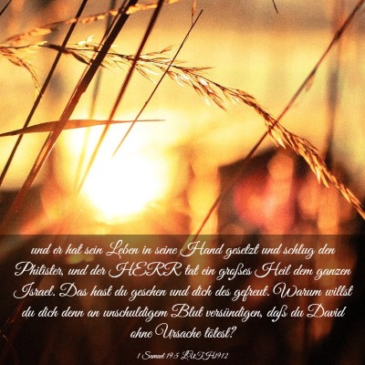 Picture 03 - 1 Samuel 19:5 LUTH1912 - und er hat sein Leben in seine Hand gesetzt und - Bible Verse Picture