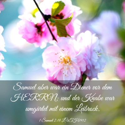 Picture 03 - 1 Samuel 2:18 LUTH1912 - Samuel aber war ein Diener vor dem HERRN; und der - Bible Verse Picture