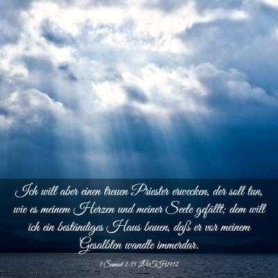 Picture 03 - 1 Samuel 2:35 LUTH1912 - Ich will aber einen treuen Priester erwecken, der - Bible Verse Picture