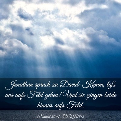 Picture 03 - 1 Samuel 20:11 LUTH1912 - Jonathan sprach zu David: Komm, laß uns aufs - Bible Verse Picture