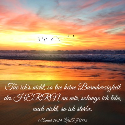 Picture 03 - 1 Samuel 20:14 LUTH1912 - Tue ich's nicht, so tue keine Barmherzigkeit des - Bible Verse Picture