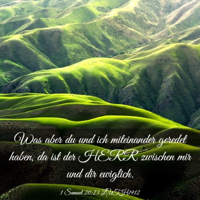 Picture 03 - 1 Samuel 20:23 LUTH1912 - Was aber du und ich miteinander geredet haben, da - Bible Verse Picture