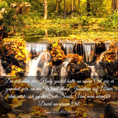 Picture 03 - 1 Samuel 20:25 LUTH1912 - Da sich aber der König gesetzt hatte an seinen - Bible Verse Picture
