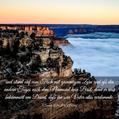 Picture 03 - 1 Samuel 20:34 LUTH1912 - und stand auf vom Tisch mit grimmigem Zorn und - Bible Verse Picture