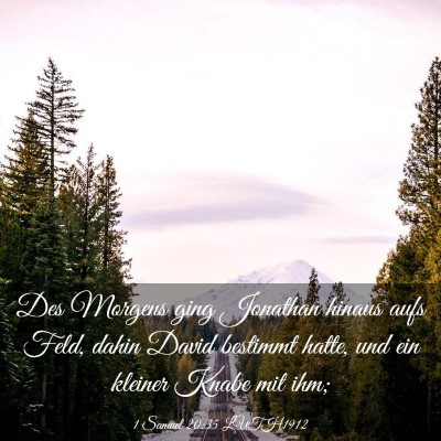 Picture 03 - 1 Samuel 20:35 LUTH1912 - Des Morgens ging Jonathan hinaus aufs Feld, dahin - Bible Verse Picture