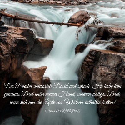 Picture 03 - 1 Samuel 21:4 LUTH1912 - Der Priester antwortete David und sprach: Ich - Bible Verse Picture