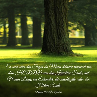 Picture 03 - 1 Samuel 21:7 LUTH1912 - Es war aber des Tages ein Mann drinnen versperrt - Bible Verse Picture