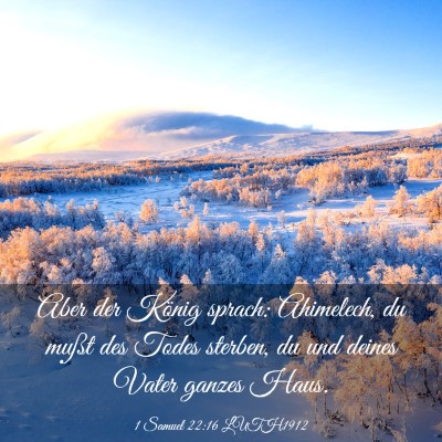 Picture 03 - 1 Samuel 22:16 LUTH1912 - Aber der König sprach: Ahimelech, du mußt des - Bible Verse Picture