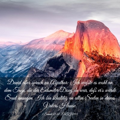 Picture 03 - 1 Samuel 22:22 LUTH1912 - David aber sprach zu Abjathar: Ich wußte es wohl - Bible Verse Picture