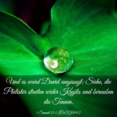 Picture 03 - 1 Samuel 23:1 LUTH1912 - Und es ward David angesagt: Siehe, die Philister - Bible Verse Picture