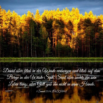 Picture 03 - 1 Samuel 23:14 LUTH1912 - David aber blieb in der Wüste verborgen und - Bible Verse Picture