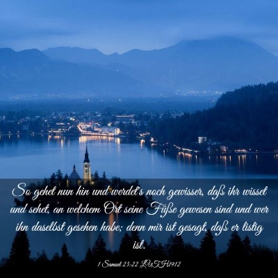 Picture 03 - 1 Samuel 23:22 LUTH1912 - So gehet nun hin und werdet's noch gewisser, daß - Bible Verse Picture
