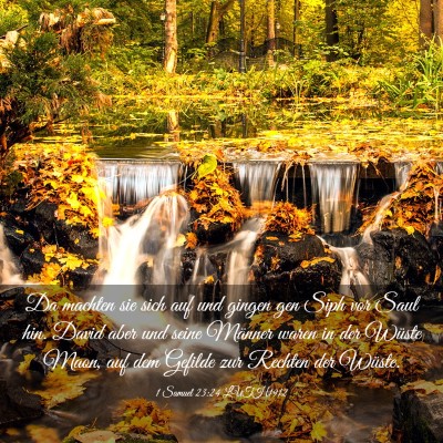 Picture 03 - 1 Samuel 23:24 LUTH1912 - Da machten sie sich auf und gingen gen Siph vor - Bible Verse Picture