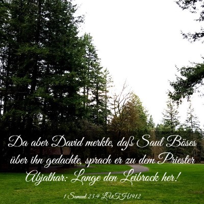 Picture 03 - 1 Samuel 23:9 LUTH1912 - Da aber David merkte, daß Saul Böses über ihn - Bible Verse Picture