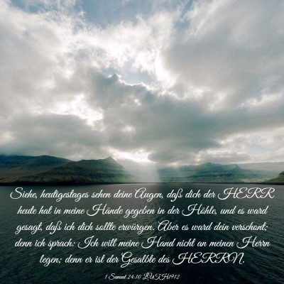 Picture 03 - 1 Samuel 24:10 LUTH1912 - Siehe, heutigestages sehen deine Augen, daß dich - Bible Verse Picture