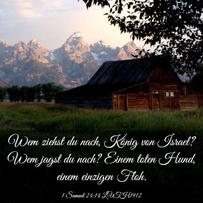 Picture 03 - 1 Samuel 24:14 LUTH1912 - Wem ziehst du nach, König von Israel? Wem jagst - Bible Verse Picture