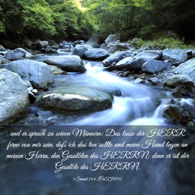 Picture 03 - 1 Samuel 24:6 LUTH1912 - und er sprach zu seinen Männern: Das lasse der - Bible Verse Picture