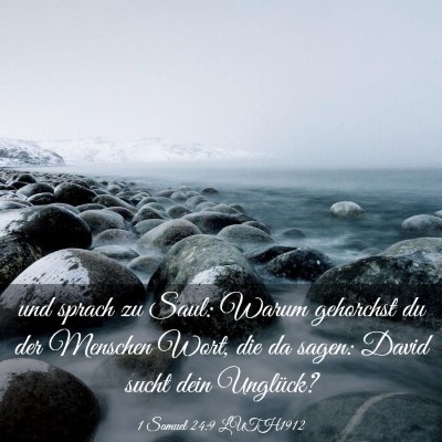 Picture 03 - 1 Samuel 24:9 LUTH1912 - und sprach zu Saul: Warum gehorchst du der - Bible Verse Picture