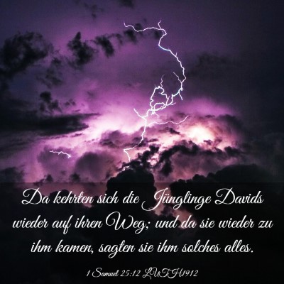 Picture 03 - 1 Samuel 25:12 LUTH1912 - Da kehrten sich die Jünglinge Davids wieder auf - Bible Verse Picture
