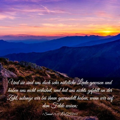 Picture 03 - 1 Samuel 25:15 LUTH1912 - Und sie sind uns doch sehr nützliche Leute - Bible Verse Picture