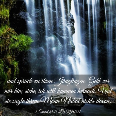 Picture 03 - 1 Samuel 25:19 LUTH1912 - und sprach zu ihren Jünglingen: Geht vor mir - Bible Verse Picture