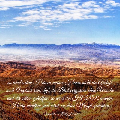 Picture 03 - 1 Samuel 25:31 LUTH1912 - so wird's dem Herzen meines Herrn nicht ein - Bible Verse Picture