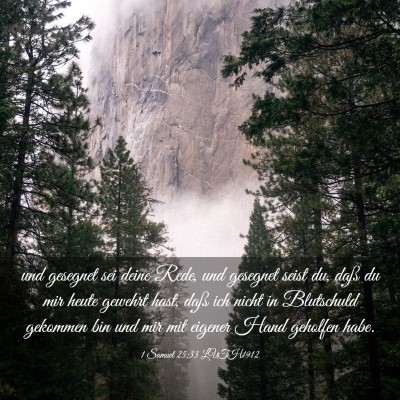 Picture 03 - 1 Samuel 25:33 LUTH1912 - und gesegnet sei deine Rede, und gesegnet seist - Bible Verse Picture
