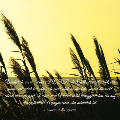Picture 03 - 1 Samuel 25:34 LUTH1912 - Wahrlich, so wahr der HERR, der Gott Israels, - Bible Verse Picture