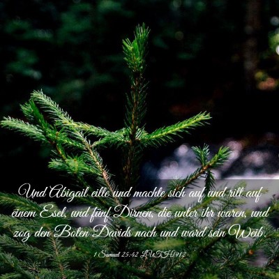 Picture 03 - 1 Samuel 25:42 LUTH1912 - Und Abigail eilte und machte sich auf und ritt - Bible Verse Picture