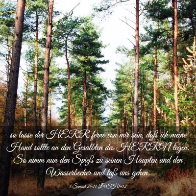 Picture 03 - 1 Samuel 26:11 LUTH1912 - so lasse der HERR ferne von mir sein, daß ich - Bible Verse Picture