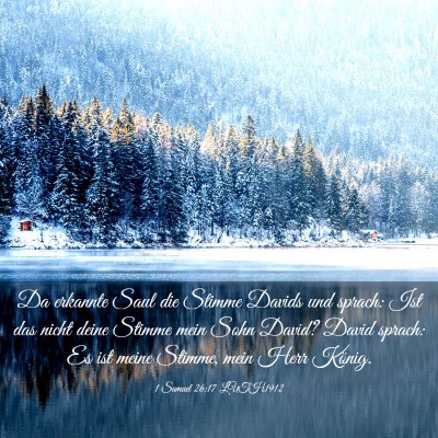 Picture 03 - 1 Samuel 26:17 LUTH1912 - Da erkannte Saul die Stimme Davids und sprach: - Bible Verse Picture
